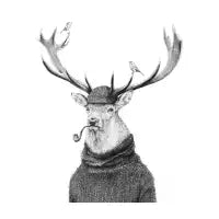 Wild Thinking - design