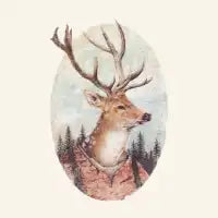 Wild Wanderer - design