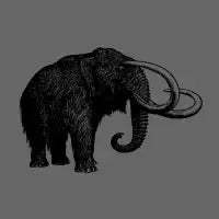 Mammoth Black - design