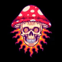 Trippy Mushroom Skull - design