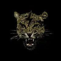 JAG - design