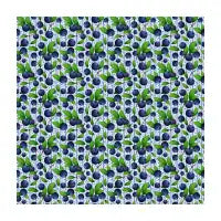 Blueberries Pop - design