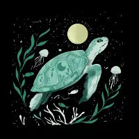 Celestial Sea Turtle - design