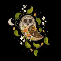 Folk Nocturnal Owl - design