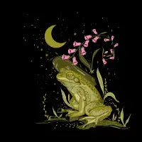 Magical Frog Moon - design