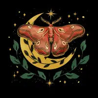 Moonlit Moth Celestial Moon - design