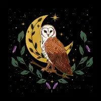 Moonkeeper Owl - design