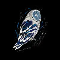 Quiet Hours Owl - design