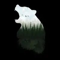Wild Tune - design