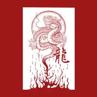 fire dragon and full moon - design