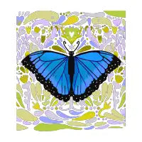 Morpho - design