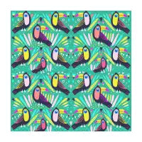 Toucan - design