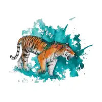 Indy Tiger - design