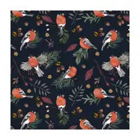 Birds winter night - design