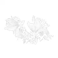 Flying Fish - design