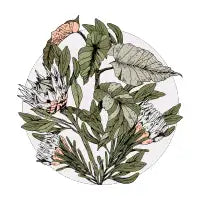 Pattern botanical boho - design