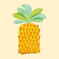 Cozy Pineapple - design