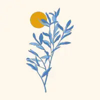 Eucalyptus Sun - design
