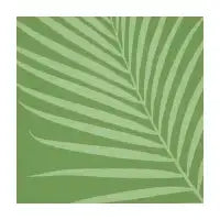Green Palm Leaf - design