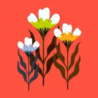 Maximal Flowers - design