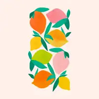 Minimal Mango - design