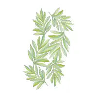 Tropical Palm Leaf - design