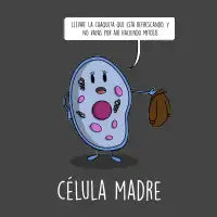 Celula Madre - design