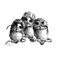 three little owls - design