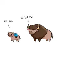 Bison - design