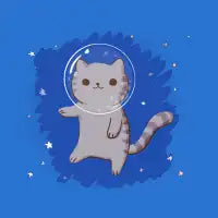 Catstronaut - design