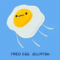 Fried egg jellyfish - design