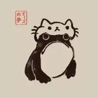 Frog in a cat hat T-Shirt - design