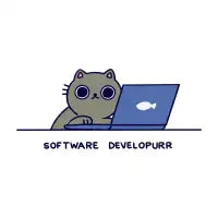 Software Developurr - design