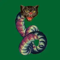 Snake-Cat - design