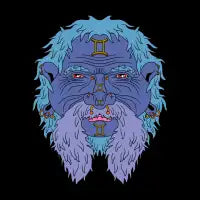 Gemini - design