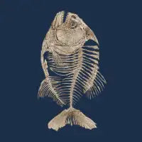 Bony Piranha - design