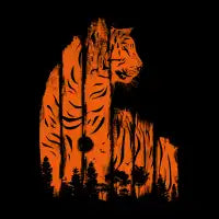 Stripes - design