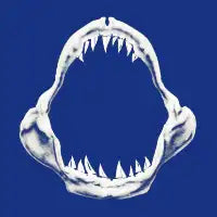 Doom Regatta - design