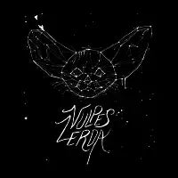 Vulpes Zerda - design