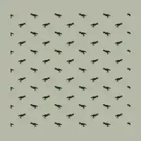 Rex Motif Pattern - design