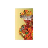 PALENQUERA - design