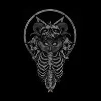 Dark Owl - design