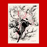 Bound - design