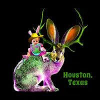 Houston Hare - design
