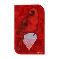 CARDIAMOND - design
