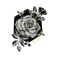 rose b - design