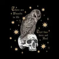 Blind owl - design