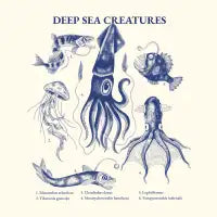 Deep sea creatures - design