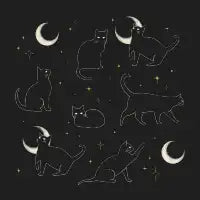 Moon and cats - design