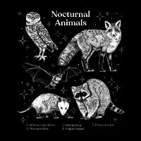Nocturnal Animals - design